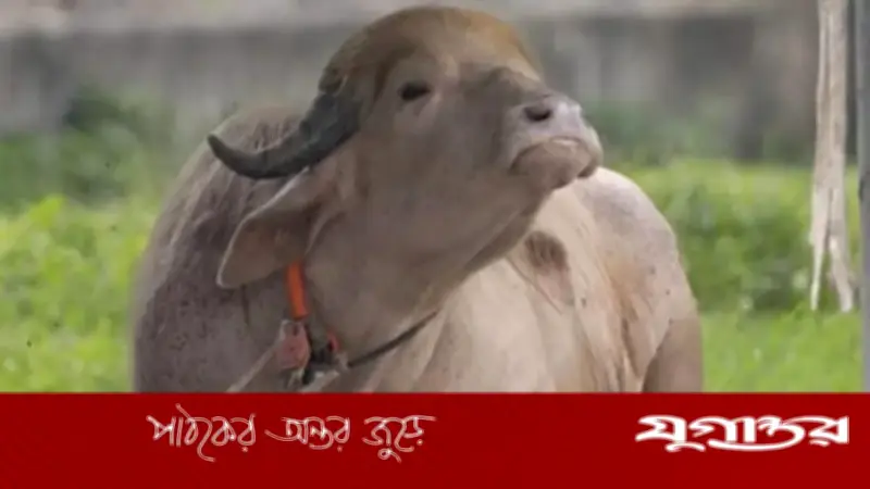 জাতীয় চিড়িয়াখানায় বানান ভুলে ‘ডোনাল্ড ট্টাম্প’, কিউরেটর বদলি