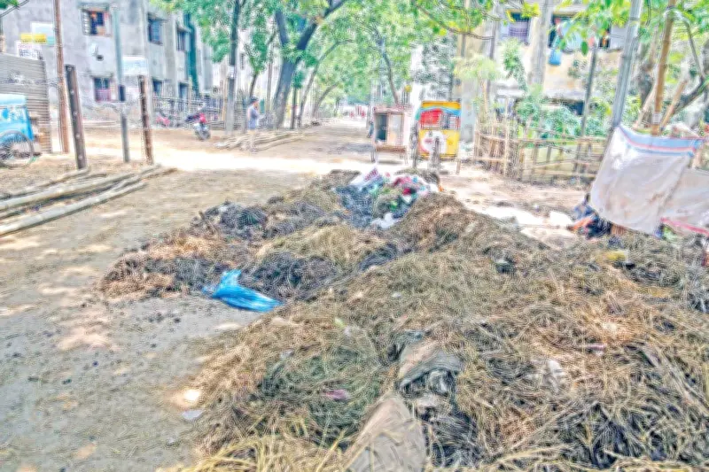 ঢাকা দক্ষিণে ৩৬ হাজার টন কোরবানির বর্জ্য অপসারণ