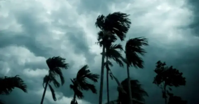 ১৭ অঞ্চলে ঝড়ো হাওয়া ও বজ্রবৃষ্টির সম্ভাবনা