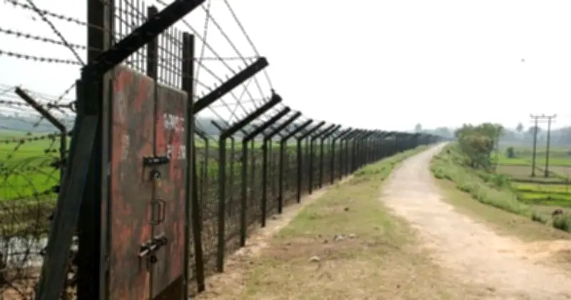 সীমান্তে কুমির-সাপ মোতায়েনের বিতর্কিত পরিকল্পনা ভারতের