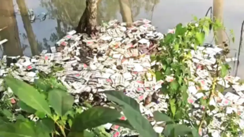 জামালপুরের ডোবায় ভাসছে বিপুল সরকারি ওষুধ, তদন্ত কমিটি গঠন