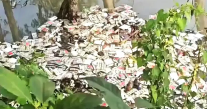 ইসলামপুরে ডোবায় ভাসছে সরকারি ওষুধ, তদন্ত কমিটি গঠন