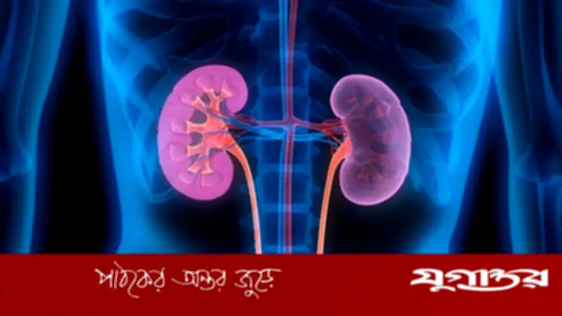 ব্যথানাশক ওষুধেও হতে পারে কিডনি বিকল, জানুন ঝুঁকি ও সতর্কতা