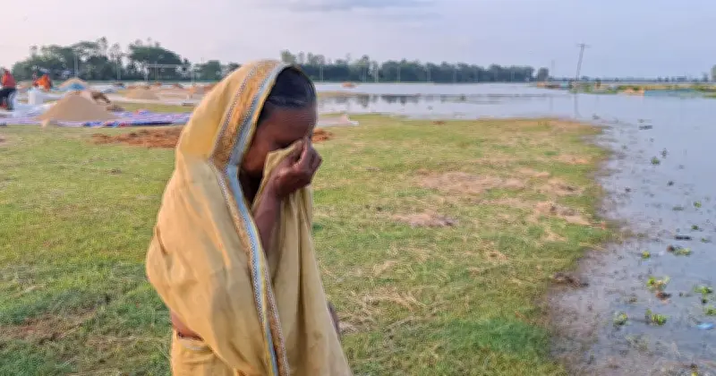 হবিগঞ্জে বৃষ্টি ও উজানের ঢলে হাওরের পাকা ধান তলিয়ে গেছে