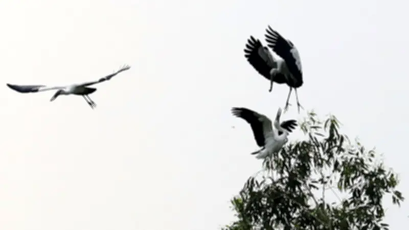 স্মৃতি ও বর্তমানের মেলবন্ধনে পুরান ঢাকার শাহী মসজিদ