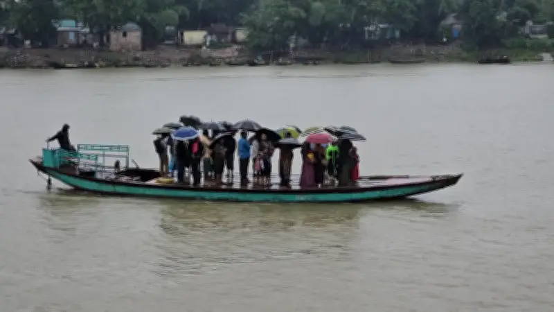 সুনামগঞ্জে বৃষ্টি ফের ধান কাটায় ভোগান্তি, শুকানোয় সমস্যা