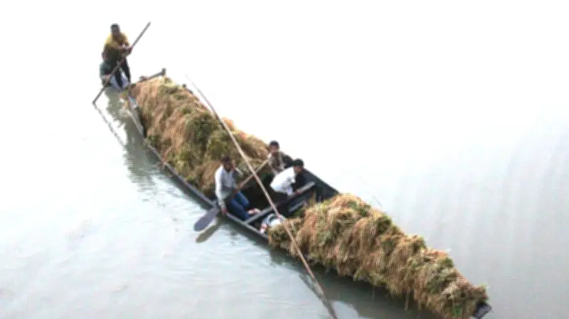 কিশোরগঞ্জে বন্যায় ৭ হাজার হেক্টর বোরো ধান তলিয়ে গেছে