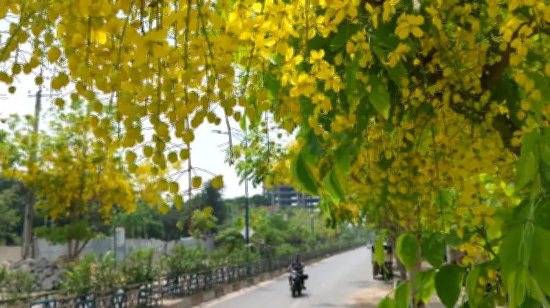 দেশজুড়ে নানা দৃশ্য: কালো মেঘ থেকে বৃষ্টি-ভোগান্তি