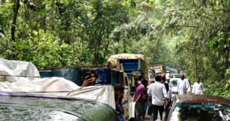 ঝড়ে লাউয়াছড়ায় গাছ পড়ে পাঁচ ঘণ্টা যানবাহন চলাচল বন্ধ, দুর্ভোগে যাত্রীরা