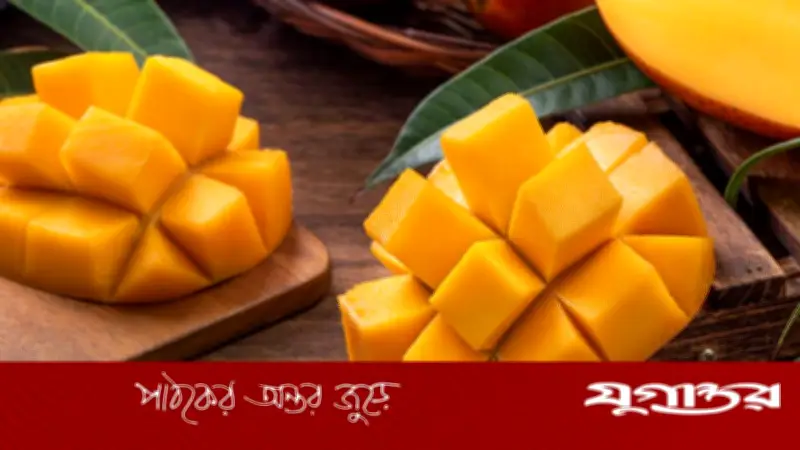 আম খেলে কি সত্যিই শরীরের তাপমাত্রা বেড়ে যায়? জানুন সঠিক তথ্য