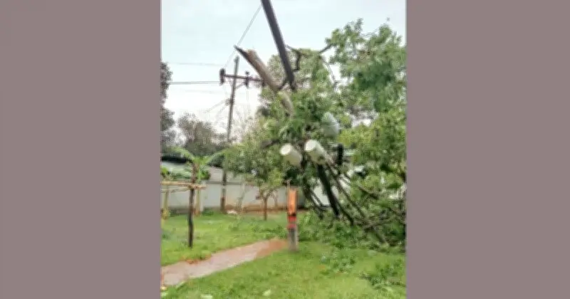মীরসরাইয়ে কালবৈশাখী ঝড়ে বিদ্যুৎহীন ২০ হাজার পরিবার