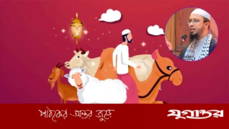 চিকিৎসা নাকি কুরবানি: অসুস্থ অবস্থায় কী করবেন? শায়খ আহমাদুল্লাহর নির্দেশনা
