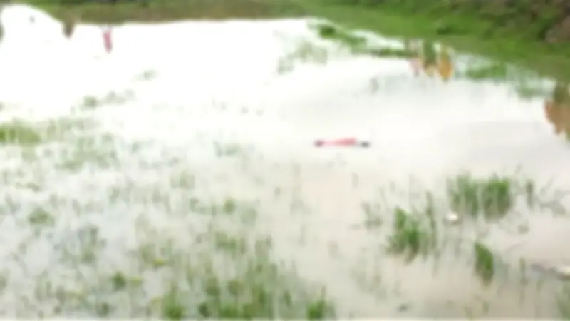 নিখোঁজের দুই দিন পর ভাসমান লাশ উদ্ধার, নড়াইলে ইউপি চেয়ারম্যান গ্রেপ্তার
