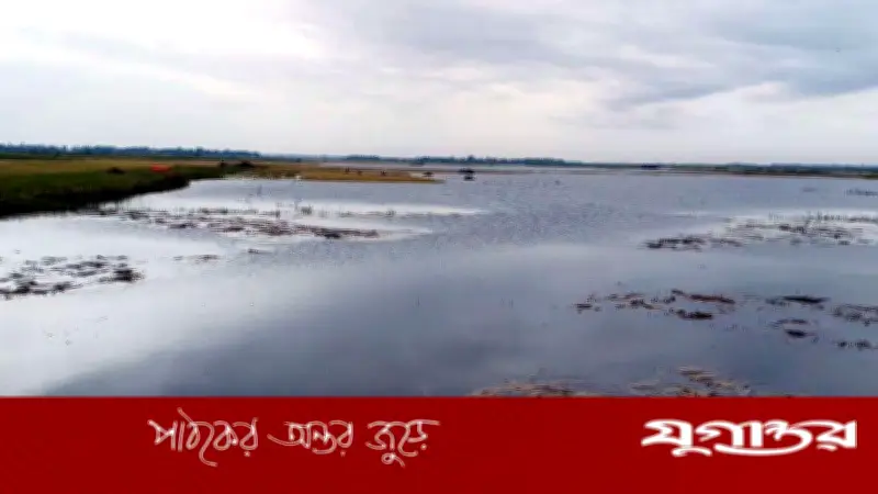 ছয় বিঘা জমির ধান তলিয়ে যেতে দেখে কৃষকের মৃত্যু
