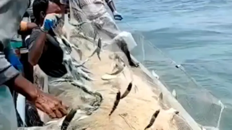 বাংলাদেশের নতুন শিক্ষানীতি অনুমোদন