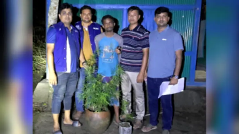 বাড়ির আঙিনায় গাঁজা চাষ, গ্রেপ্তার ১; রোনালদোর অবসর ভাঙলেন