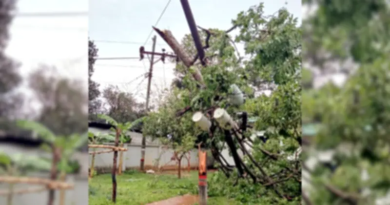 মিরসরাইয়ে কালবৈশাখীর তাণ্ডবে বিদ্যুৎ সংকট, ৫০০ গ্রাহক অন্ধকারে
