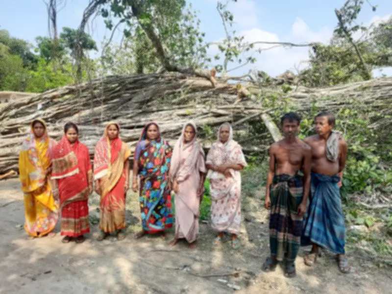 ঝড়ে উপড়ে পড়া মধুসূদনের বটগাছ দেখতে ভিড়, আবেগঘন পরিবেশ