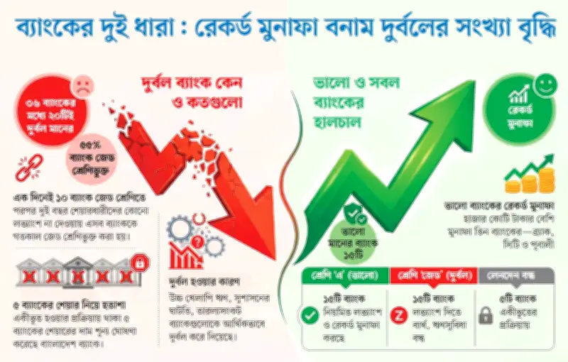 শেয়ারবাজারে অর্ধেকের বেশি ব্যাংক এখন দুর্বল মানের, বিনিয়োগকারীদের দুশ্চিন্তা