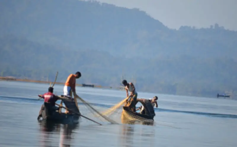 কাপ্তাই হ্রদে বড় মাছের অভাব, ছোট মাছের আধিক্য