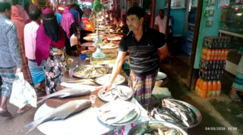 মেঘনায় ইলিশ কম, বাজারে দাম চার গুণ বেশি