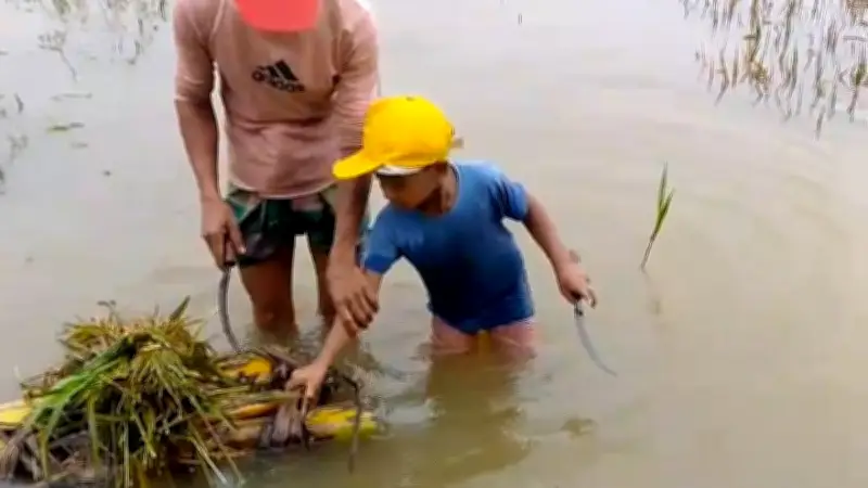 প্রথম আলোর ভিডিও প্রতিবেদন: বাংলাদেশের বিশেষ ঘটনা