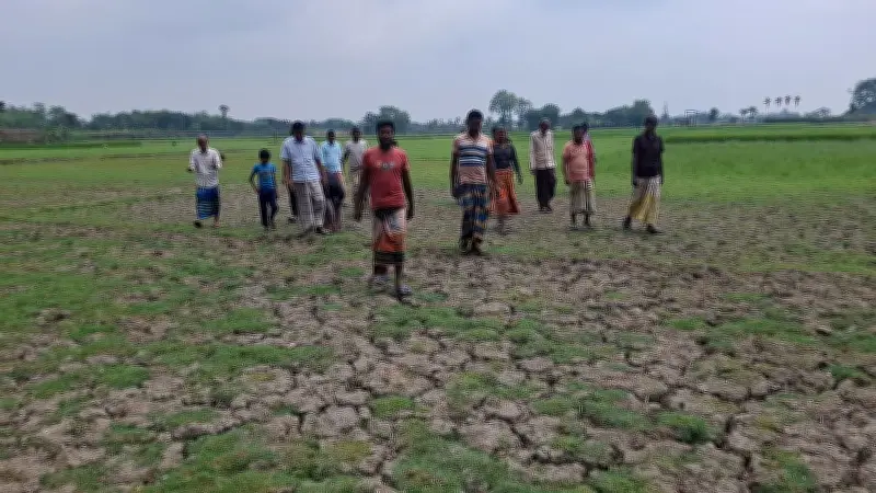 পানি না দেওয়ায় অপারেটরকে অব্যাহতি, ৪০ বিঘা জমি পতিত