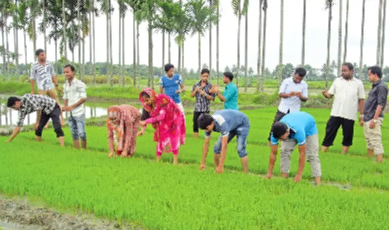 কৃষি গবেষণায় মেধাস্বত্ব ও প্রণোদনা জরুরি