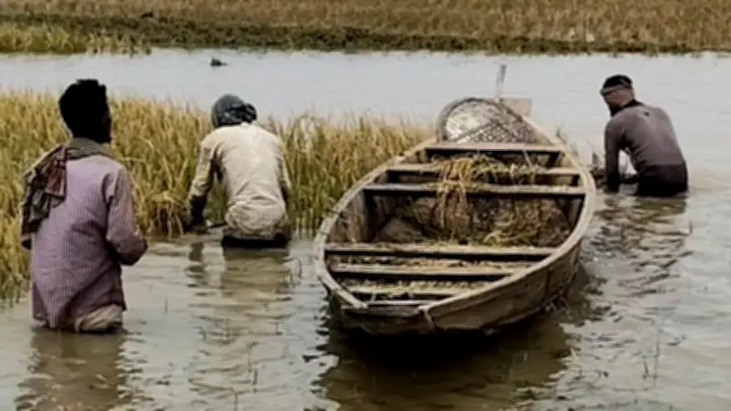 ভিডিওতে বাংলাদেশের নতুন দিগন্ত: প্রযুক্তির অভূতপূর্ব ব্যবহার