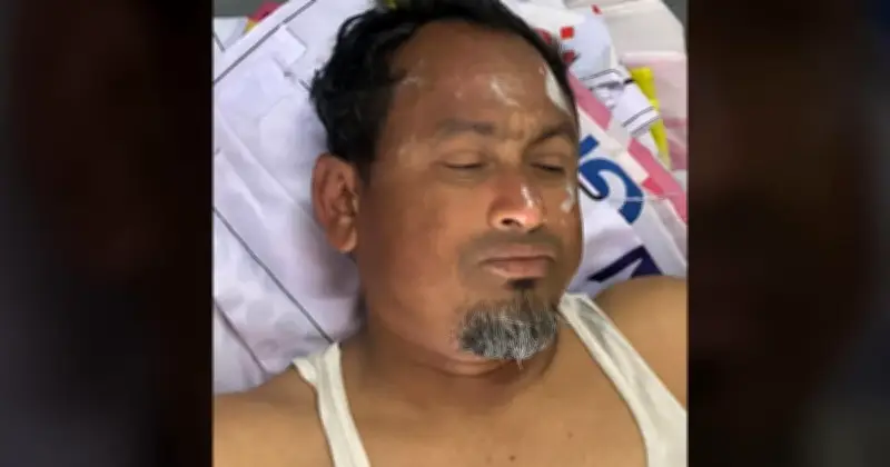মৌমাছির কামড়ে জামায়াতের তিন নেতাকর্মী আহত