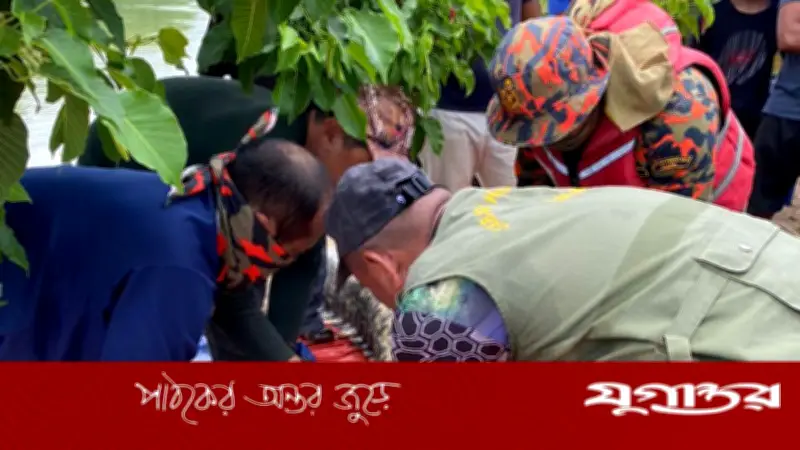দক্ষিণ আফ্রিকায় কুমিরের পেটে নিখোঁজ ব্যবসায়ীর লাশ উদ্ধার