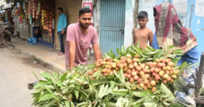 অপরিপক্ব লিচু খেলে মারাত্মক স্বাস্থ্যঝুঁকি, সতর্কতা জারি