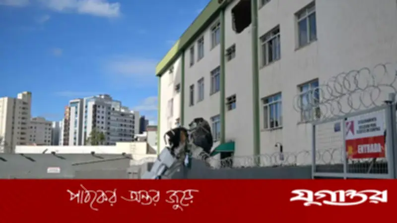 ব্রাজিলে বিমান বিধ্বস্ত, পাইলটসহ নিহত ৩