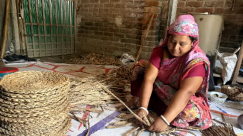 কচুরিপানা দিয়ে তৈরি পণ্য রপ্তানি হচ্ছে ৮২ দেশে