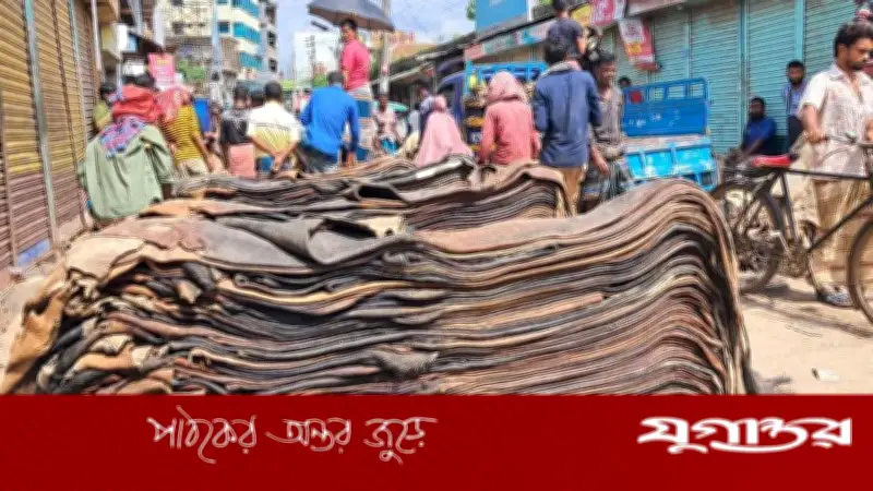 পশুর চামড়া সংগ্রহে নতুন সিদ্ধান্ত সরকারের, কঠোর ব্যবস্থা আসছে
