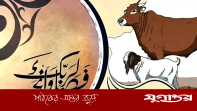 পশুর যেসব দোষ থাকলে কুরবানি শুদ্ধ হবে না
