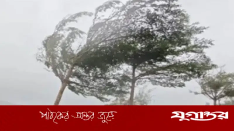 ঢাকাসহ ১১ অঞ্চলে ঝড়ের আভাস, নদীবন্দরে সতর্ক সংকেত