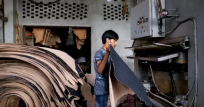 ঈদের আগে চামড়া ব্যবসায়ীদের জন্য বড় সুখবর দিল বাংলাদেশ ব্যাংক