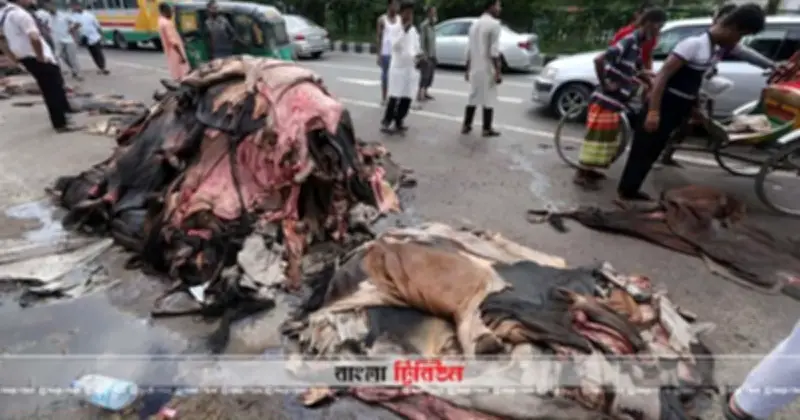 ঈদুল আজহায় চামড়া খাতে ঋণ শর্ত শিথিল করল বাংলাদেশ ব্যাংক