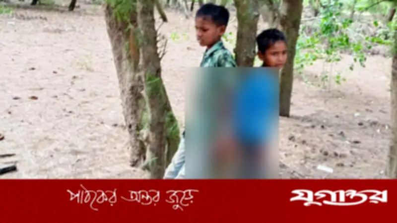 চুরির অভিযোগে দুই শিশুকে গাছে বেঁধে নির্যাতনের অভিযোগ পটুয়াখালীতে