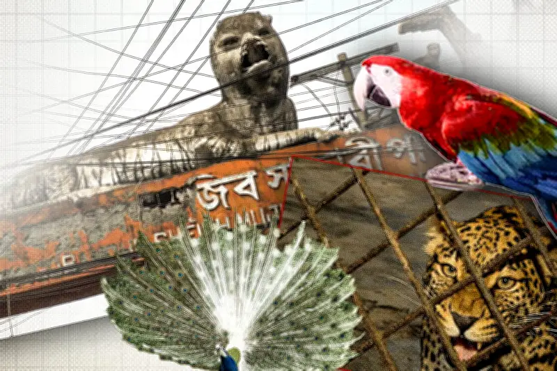 ভিডিওতে বাংলাদেশের নতুন অগ্রগতি ও সম্ভাবনা