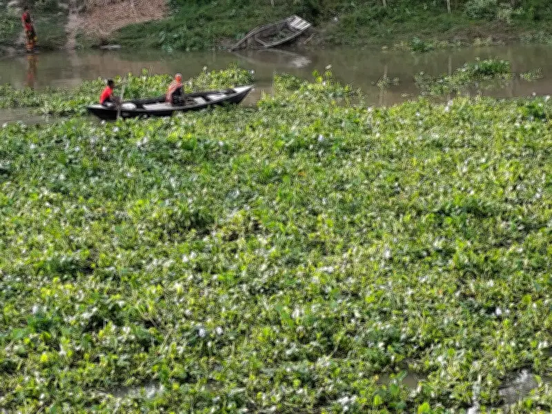 রায়গঞ্জে কচুরিপানায় আটকে পড়া দুইজনকে উদ্ধার করল পুলিশ