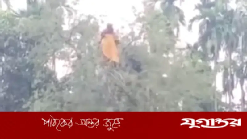 নিখোঁজ গৃহবধূ তেঁতুল গাছের মগডালে উদ্ধার, এলাকায় চাঞ্চল্য