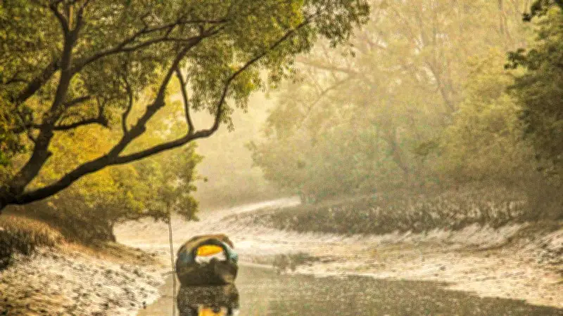 সুন্দরবনে ৪৮ ঘণ্টায় ২২ জেলে অপহরণ, পদ্মা ব্যারাজ নিয়ে দ্রুত সিদ্ধান্ত
