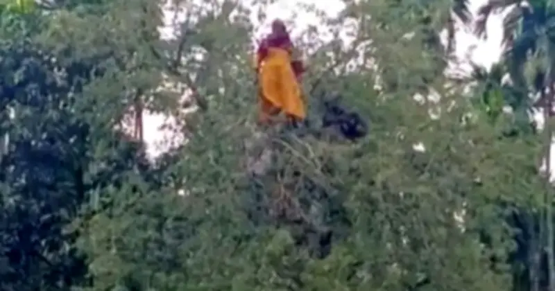 কুড়িগ্রামে নিখোঁজ গৃহবধূ তেঁতুল গাছের মগডালে, পরে পুকুর থেকে উদ্ধার