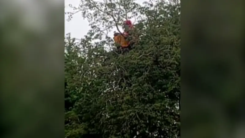 বাংলাদেশের নতুন শিক্ষানীতি ঘোষণা