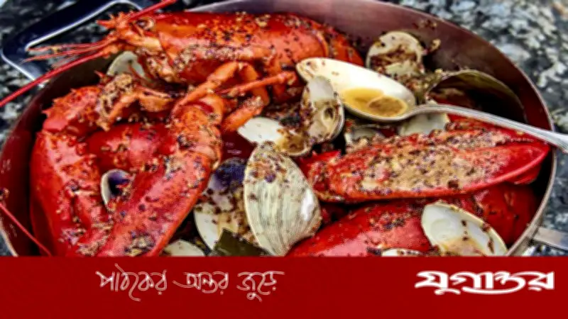 লবস্টারও ব্যথা পায়! জ্যান্ত সেদ্ধ নিষিদ্ধের দাবি বিজ্ঞানীদের