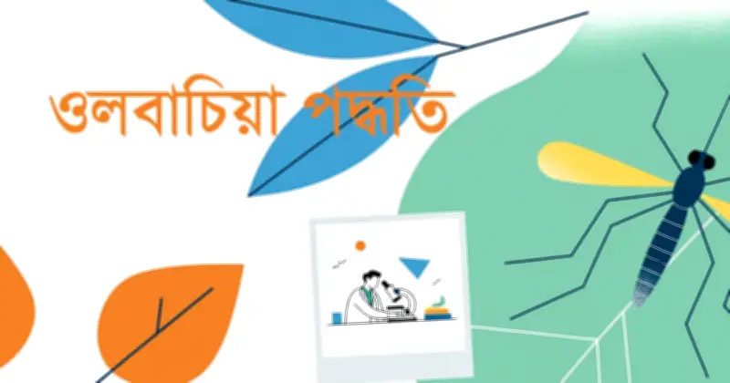 ওলবাচিয়া: মশাবাহিত রোগ নিয়ন্ত্রণের প্রাকৃতিক জৈবিক অস্ত্র