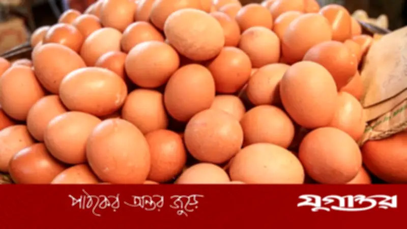 ফ্রিজে না স্বাভাবিক তাপমাত্রায় ডিম রাখা নিরাপদ?