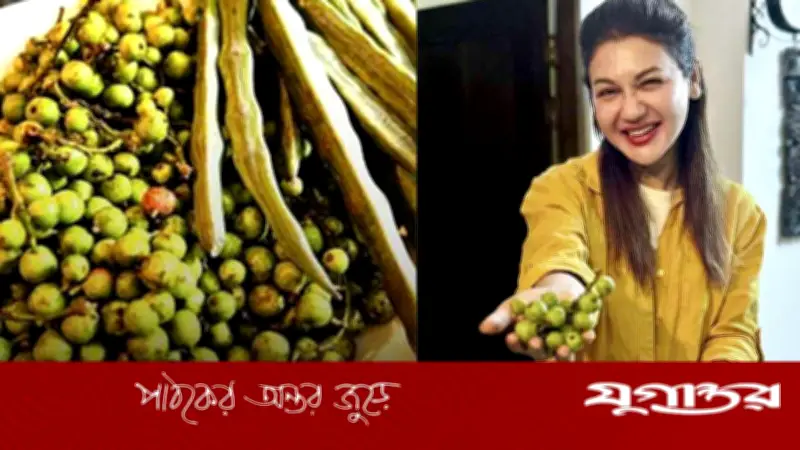 জয়া আহসানের ছাদবাগানে ডুমুরের বাম্পার ফলন, পুষ্টিগুণ নিয়ে টিপস